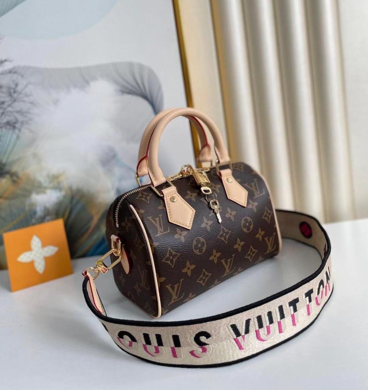 Louis Vuitton Speedy 30 in Tela Monogram