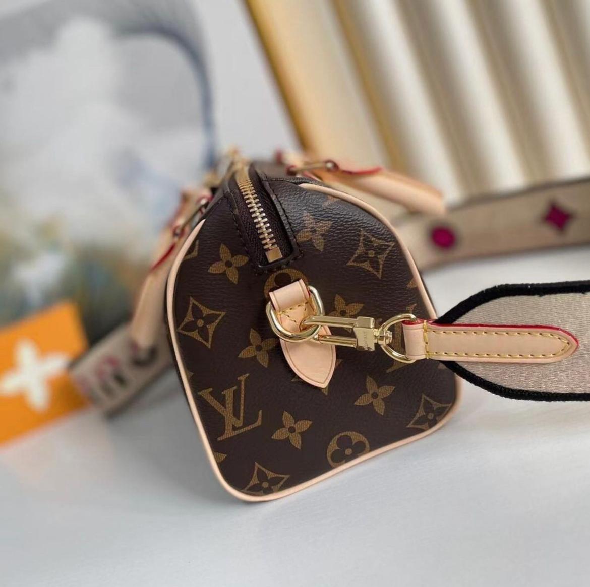 Louis Vuitton Speedy 30 in Tela Monogram